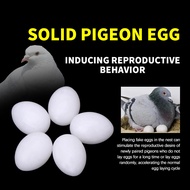5Pcs Trick The Birds Pigeon False Eggs Solid Fake Egg Dove Dummy Eggs Hatching Eggs