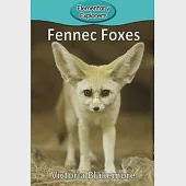 Fennec Foxes