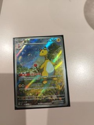 寶可夢 電龍AR