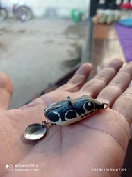 SF Dindang LITI  4 cm