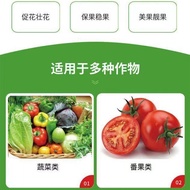 Granular Boron Wheat Rapeseed Fruit Tree Dedicated Trace Element Base Fertilizer Boron Fertilizer Pr