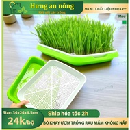 KAM – 2-layer hydroponic sprout growing plastic tray – size 34x25x4.5cm – lid sold separately