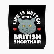Life is Better with British Short Hair Digital Poster and Wallpaper