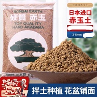 Japanese Akadama "Triple Line" (Hardened) repack赤玉土