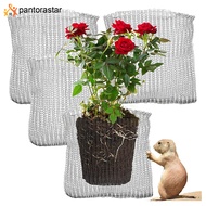 [pantorastar] Plant Root Guard Gopher Proof Wire Basket Mole Vole Mesh Wire Basket Underground Stainless Steel Wire Mesh Bag For Plants Root Protection
