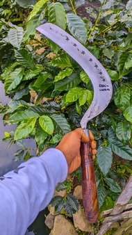 Arit Sadap Aren: Alat Tradisional untuk Menyadap Nira Aren