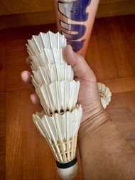 Used Hi-Qua USA Badminton Shuttlecocks 9乘新羽毛球