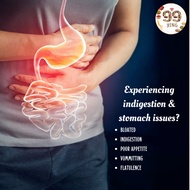 Huo Xiang Zheng Qi San 藿香正气散