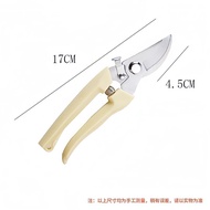 [Ready Stock] Gardening Shears Pruning Shears Flower Shears Garden Shears Flower Shears Shears Branc