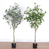 Plant Home Indoor Real Green Plant Simulation Flower Money Tree Office with Pot Fake Tree Eucalyptus