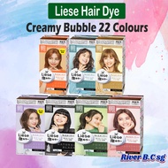 Liese Design/ Natural Series Creamy Bubble Hair Dye 