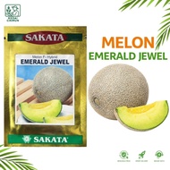 5 Pcs Benih Sakata Emerald Jewel Melon Seed/ Rock Melon