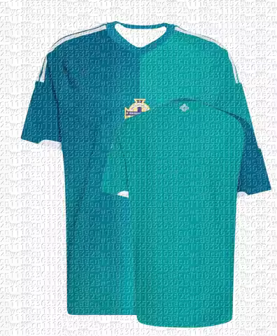 2026 New Men's T-shirt Northern Ireland Football Jersey Team Kit Summer Training Uniform Adult Sport