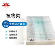 Bio-Plant Glass Slice Microscope Teaching Slice Equipment Slice Specimen Student 25 Accessories Biol