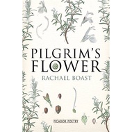 [100% Original Books] - Pilgrim's Flower by Rachael Boast (UK edition, paperback)