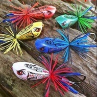 Kae khan Sai jew kae Khan 4cm jump frog