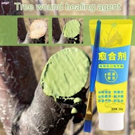 WKPFR893 Grafting Tree Sealer, Smear Agent 100g Tree Wound Sealant,  with Brush Tree Repair Plant Re