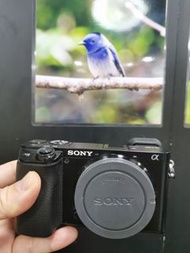 Sony A6100 機身 新凈 body