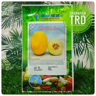 Paket 20g APOLLO S258 Known-You Seed Biji Benih Melon Madu Kuning F1 Hybrid Melon Seeds Taiwan Ready