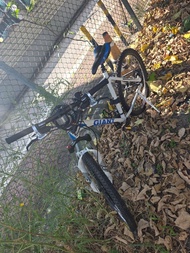 Giant ATX 790 登山單車