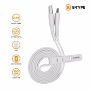 Type C Data Cable 25cm B-TYPE Fast Charge Cable