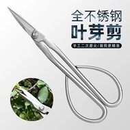 All Stainless Steel Gardening Shears Leaf Bud Shears Tender Bud Shears Flower Arrangement Bonsai Bra