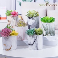 GHZ - Colorful Marble Series Ceramic Flower Plant Pot Pasu Bunga Seramik 大理石陶瓷花盆
