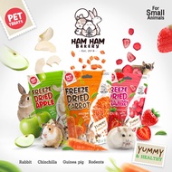 【 HamHam Bakery 】Small Pet Fruits Snack Yummy & Healthy 水果干宠物零食 仓鼠零食 金丝熊零食 仓鼠食物