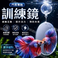 Next Day Delivery+Free Shipping🚚 Betta Training Mirror Betta Suction Cup Mirror Betta Floating Mirro