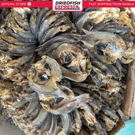 1kg and up Outlet Price Dried Tilapia