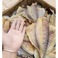 Sea Bird Fish, Dried Bird Fish, Anchovy Bag 1kg