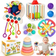 Baby Toys 6-12 Months, 5 in 1 Montessori Toys for Babies 6-12 Months,Pull