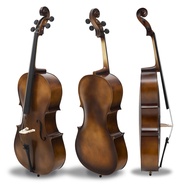 New CE Wholesale Handmade Professional Musical Instrument Master Electric cello