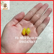 5 Biquinho Yellow Pepper Seeds