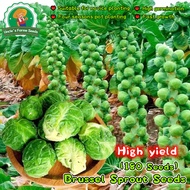 180pcs Mini Brassica Oleracea Seeds for Planting Vegetables Plants High Yield Green Brussel Sprout S