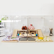 80cm Oversized Villa Golden Silk Bear Special Breeding Box Four Seasons Universal Deluxe Acrylic Pri