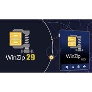 WinZip Pro 29.0 For Windows with License (Latest Oct 2024)