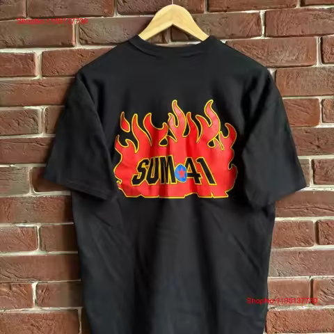 Vintage Y2K Sum 41 Flames Rock Metal Band Black T Shirt M vintage Washed graphic Comfortable Breatha