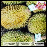 durian montong utuh 3 kg termurah