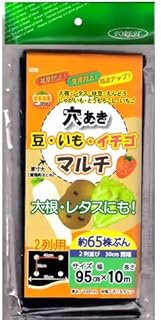 Forest Garden Sheet with Perforated Potato, Beans, Strawberry Multi, For 2 Rolls, 37.4 in x 32.8 ft