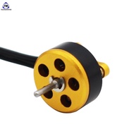 BE0802 Motor Massage DC Factory Miniature External Rotor Brushless Golden Brushless Motor Source Fas