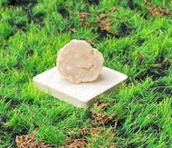 能量擺飾-瑪瑙可愛白晶洞開口笑 招財 療癒 開運 原礦 快速出貨