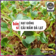[Wholesale] - Da Lat mustard greens sprout seeds - Ta Gia Trang seed Shop