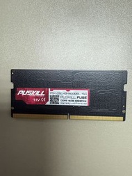 PUSKILL FUSE DDR5 16GB 4800MHz 記憶體 2條