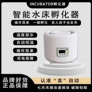 Ready Stock Smart Water Bed Incubator Automatic Temperature Control Small Household Mini Incubator Parrot Reed Chicken Poultry Egg In