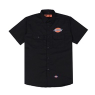 เสื้อเชิ้ต DICKIES โลโก้ พรีเมี่ยม ของแท้a a