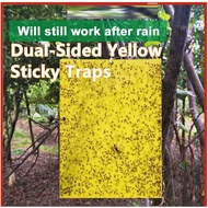 Double Sided Sticky Fly Board  Insect Traps Pest Killer Fly Orchard Fruit Fly Bugs Super Sticky Glue Sticker