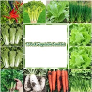 Vegetable Seed Complete 10 Pack Combination Set Lettuce蔬菜种子大全10包组合装套装 Cilantro Oil Wheat Vegetable S