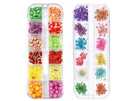 1 Box Dried Flowers and 1 Box Fruit Slices for Nail Art, 3D Dry Flowers Nail Stickers ,Colorful Natu