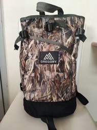 Gregory Backpack